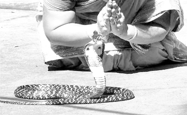 snake worship.png